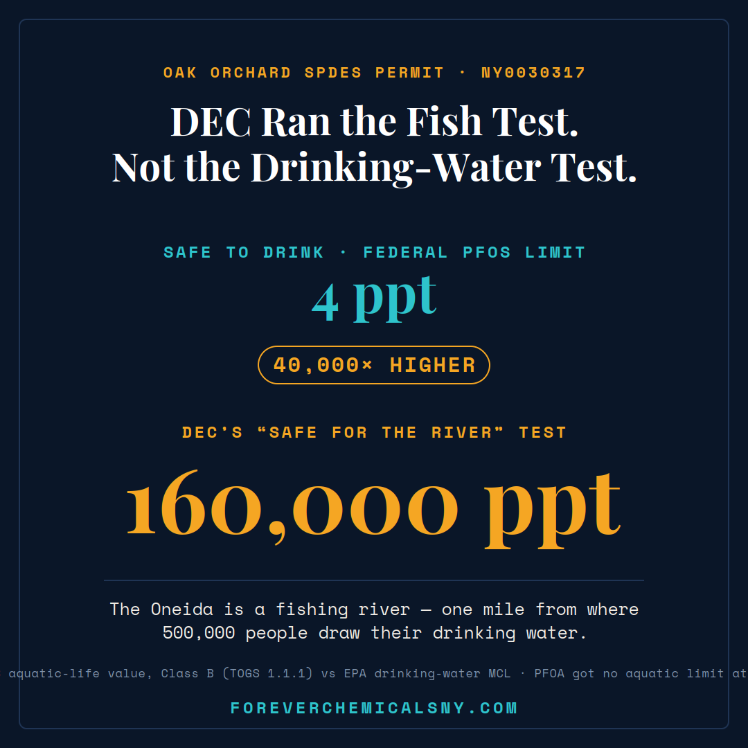 Safe to drink: 4 parts per trillion. DEC's safe-for-the-river test: 160,000 parts per trillion. 40,000 times higher.